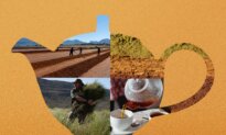 Rooibos Tea May Reduce Inflammation and Protect the Aging Brain