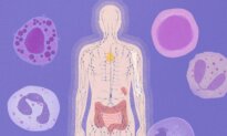 Why Your Immune System Ages and How to Slow It Down