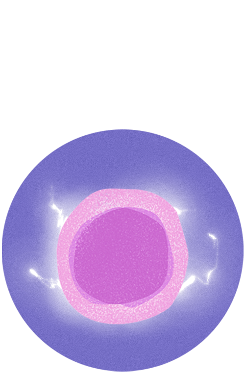 icons-immune-energy2