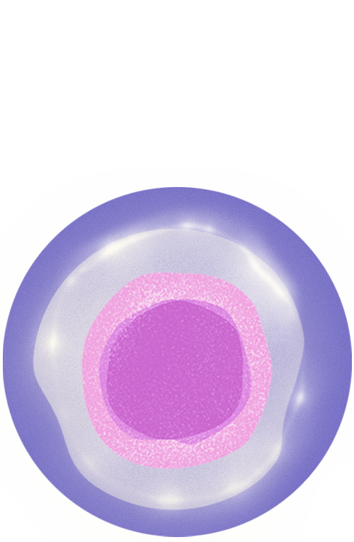 icons-immune-spirit2