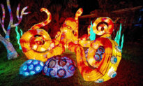 Asian Lantern Festival Returns to Central Florida Zoo This Fall