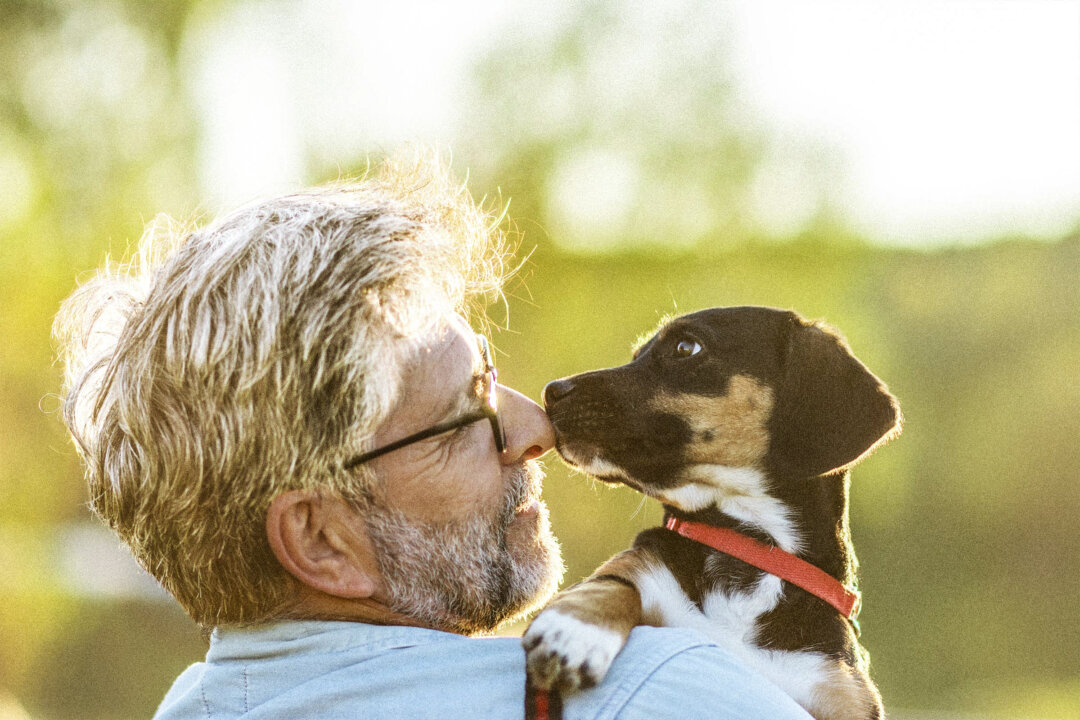(Nenad Cavoski/Shutterstock)