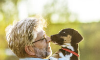 Can Pets Help Keep Your Brain Young? What the Research Shows