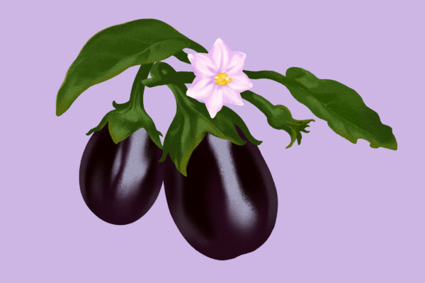 Eggplant’s Health Benefits and How to Get the Most From It