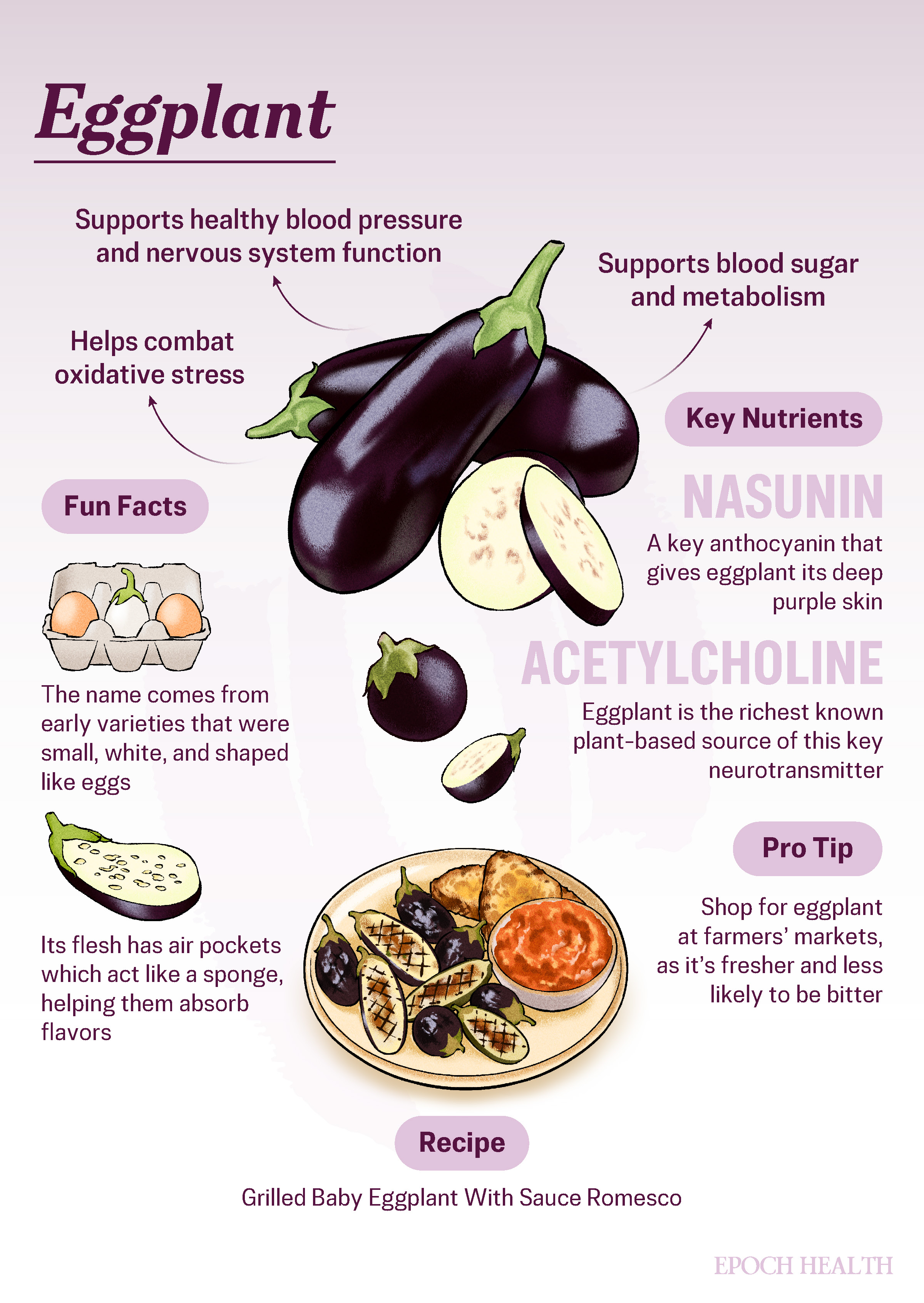Eggplant infographic_01