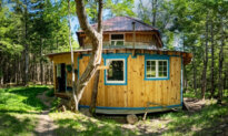 Canadian Man Builds Off-Grid Homestead to Escape the Rat Race