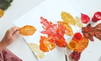 Activities That Keep Hands Nimble and Minds Sharp: A Guide for Healthy Aging