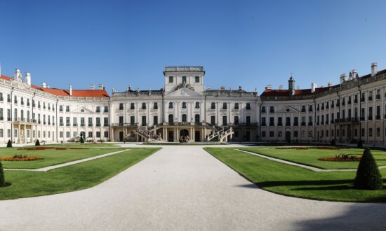 Tune in Today: A Creative Musical Protest by Joseph Haydn