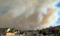 Hawk Fire: Thousands Evacuated in Nevada as Governor Issues State of Emergency