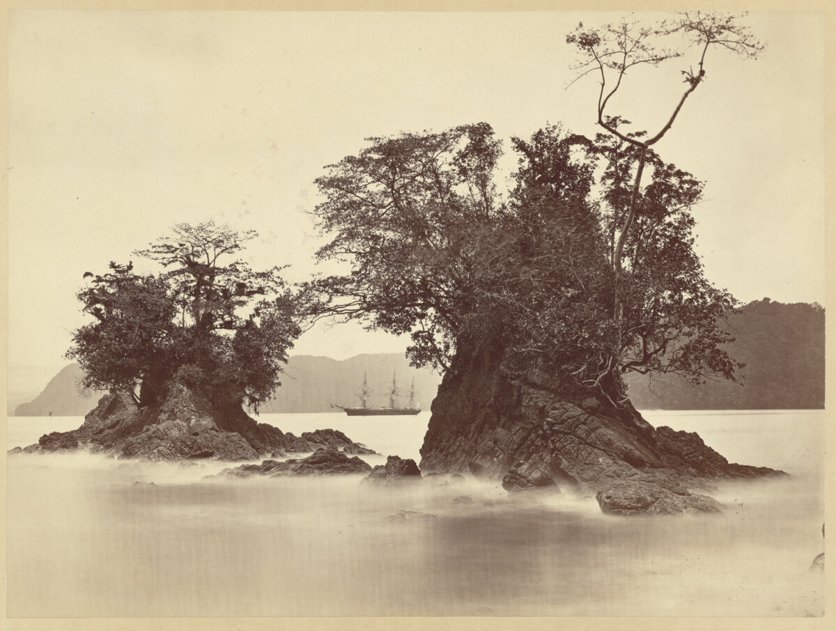 “Limon Bay, High Tide,” 1871, by John Moran. Albumen silver print. (CC0)