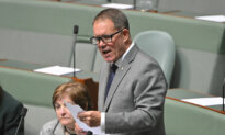 Labor MP Stands Aside as Defence Envoy After Alleged Bail Breach