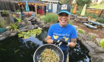 California Residents Welcome Program Letting Them Run a Restaurant at Home