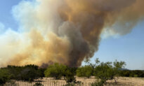 Texas Wildfire Mushrooms Within Hours, Ripping Through Ranchlands
