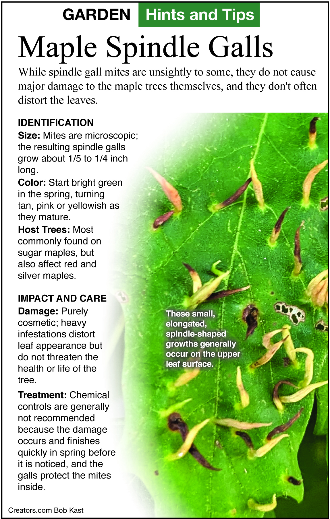 GardenTips.0925
