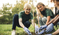 The Legal Risks of Volunteering