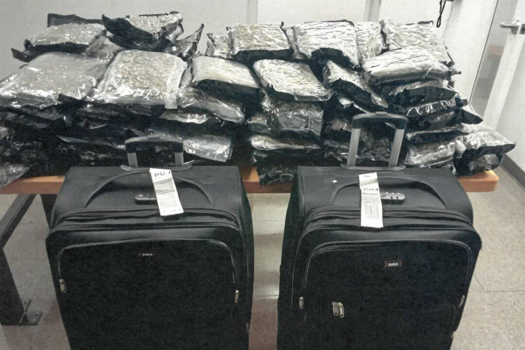 2 Air Canada Employees Arrested by RCMP in Alleged Drug Trafficking Probe