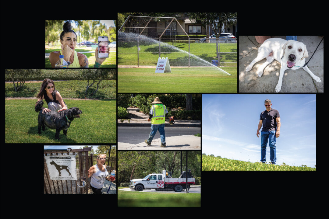An Idyllic Enclave in California, and a Mysterious Cancer Problem