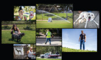 An Idyllic Enclave in California, and a Mysterious Cancer Problem