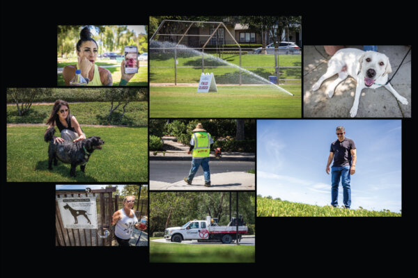 An Idyllic Enclave in California, and a Mysterious Cancer Problem