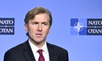 US Under Secretary for War Meets NATO Allies Amid European Posture Review