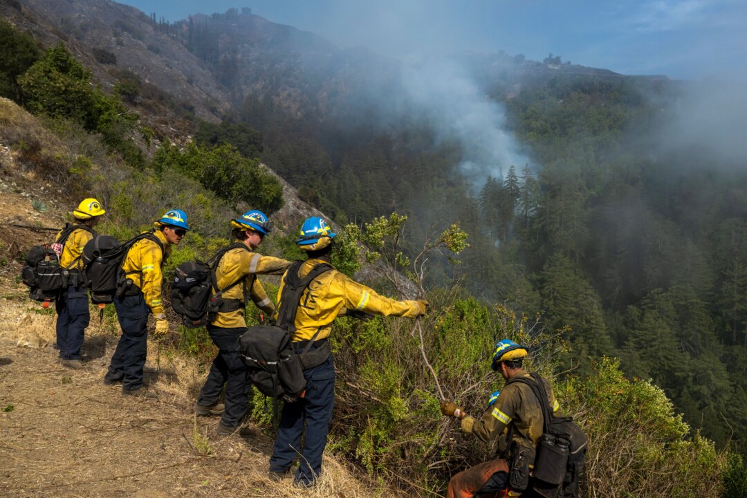 Coastal California Wildfire Nearly Half Contained as Growth Slows