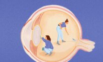 While You Sleep, Your Eyes Are Cleaning Waste