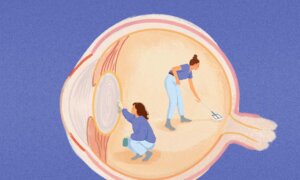 While You Sleep, Your Eyes Are Cleaning Waste