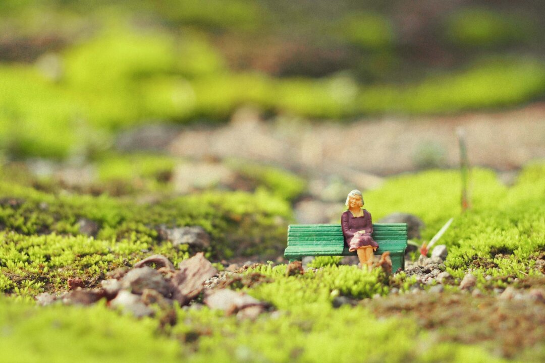 (awstoys/Shutterstock)