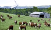 Trump Says Farmers and Ranchers to Be Authorized to Process Food