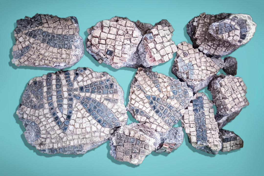 Archaeologists Unearth 1,900-Year-Old Mosaics From Lavishly Adorned Ancient Roman Fire Station