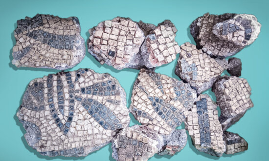 Archaeologists Unearth 1,900-Year-Old Mosaics From Lavishly Adorned Ancient Roman Fire Station
