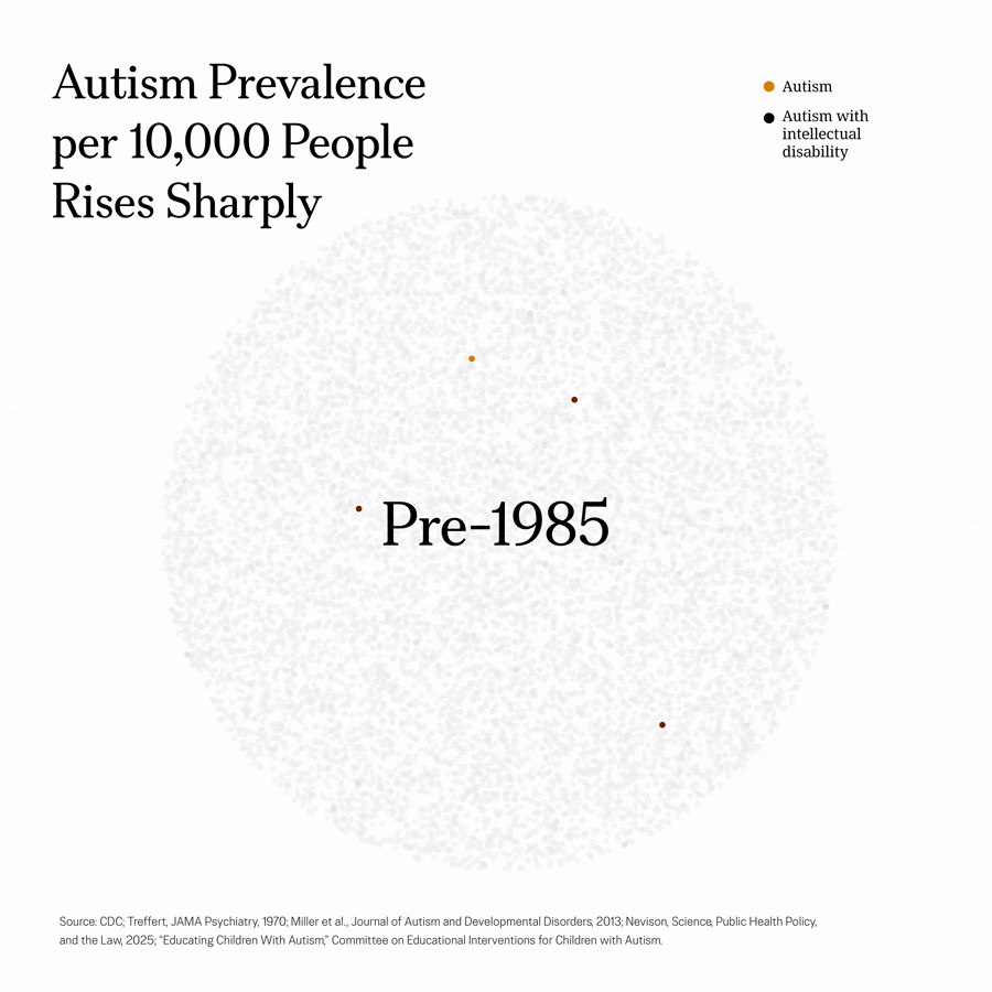 6077695_Why Something in the Environment Could Be Driving Up Autism_infographic2_Artboard 3 copy_1 (1)