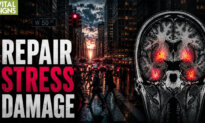 Brain Detox to Cut Alzheimer’s Risk: Top-Sleep Tips, ‘Low Blood-Sugar Diet’—David Perlmutter