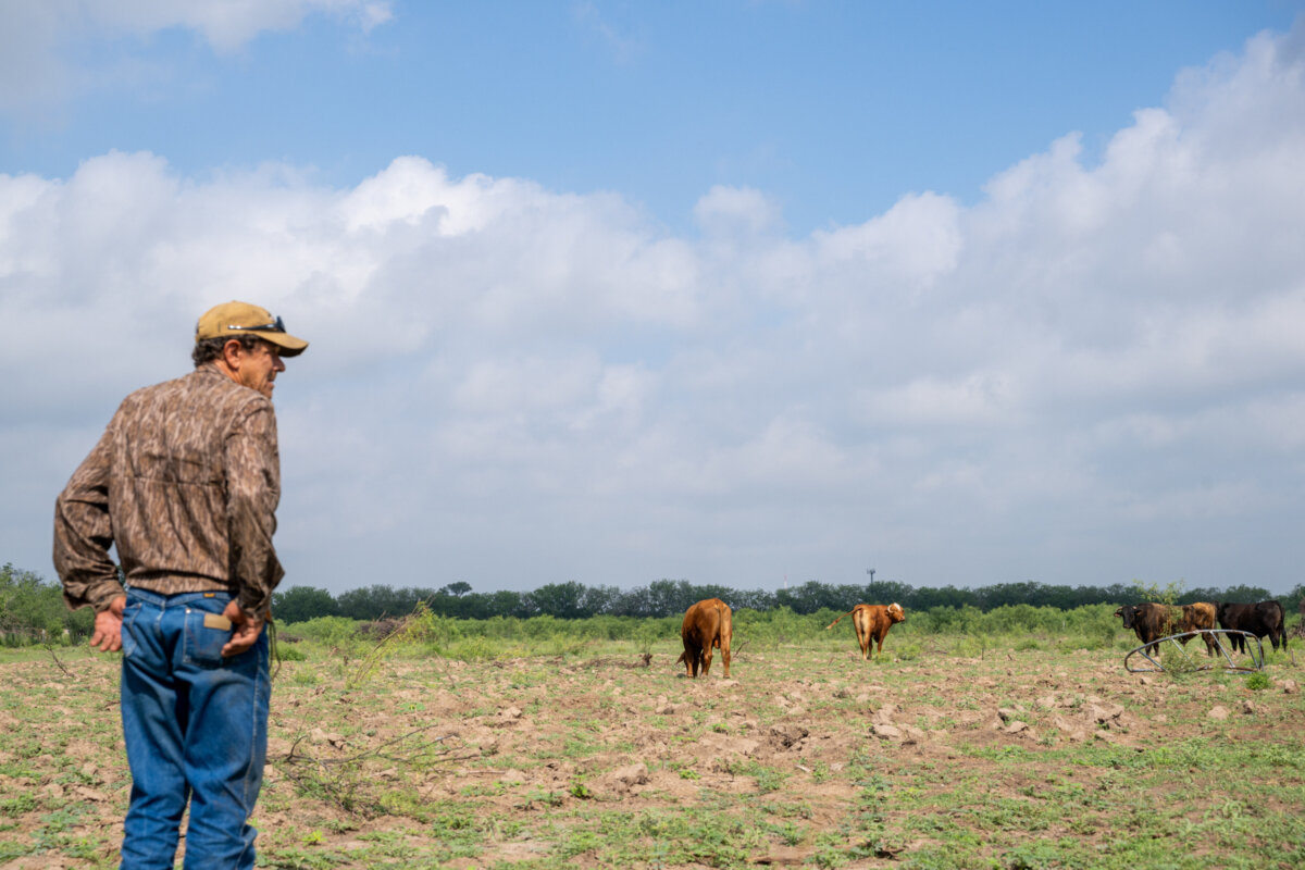 Farmer Randy Edwards looks out towards his cattle in Quemado, Texas, on June 2, 2026. Over the past two years, prolonged drought has forced Edwards to shrink his herd from 100 heads of cattle to just four. (Brandon Bell/Getty Images)