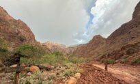 Dozens Evacuated From Grand Canyon After Flash Flood Hits Creek Leading to the Colorado River