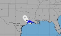 Tropical Storm Edouard Forms in Gulf, Could Become Hurricane: Forecasters