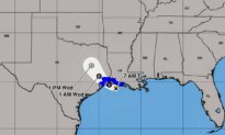 Tropical Storm Edouard Forms in Gulf, Could Become Hurricane: Forecasters
