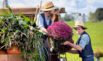Amish Families Weigh Future Amid Vaccine Fight