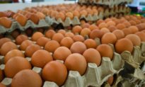 A Savvy Shopper’s Secrets for Buying in Bulk: How to Tell a Bum Deal from a Real Steal