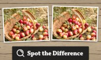 Spot the Difference [sneak preview]