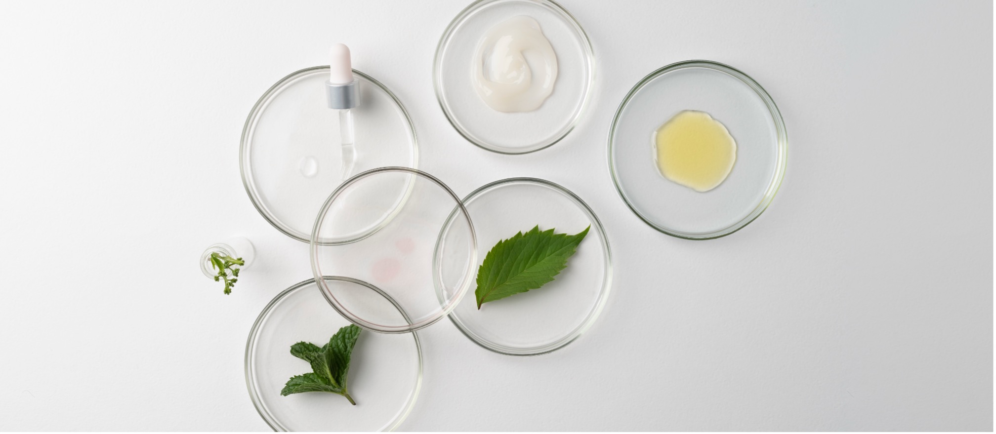 Anti-aging ingredients work through different pathways, including cell turnover, antioxidant protection, cellular signaling, and hydration.