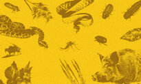 America’s Battle Against Invasive Species