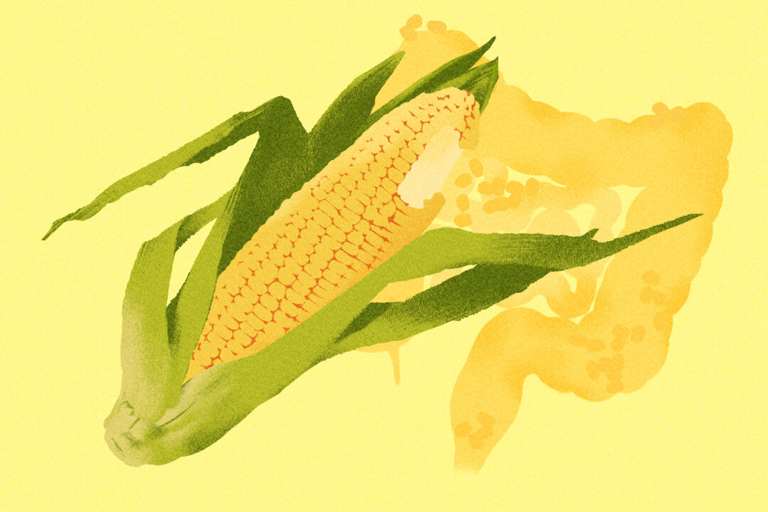 (Illustration by Ran/The Epoch Times)