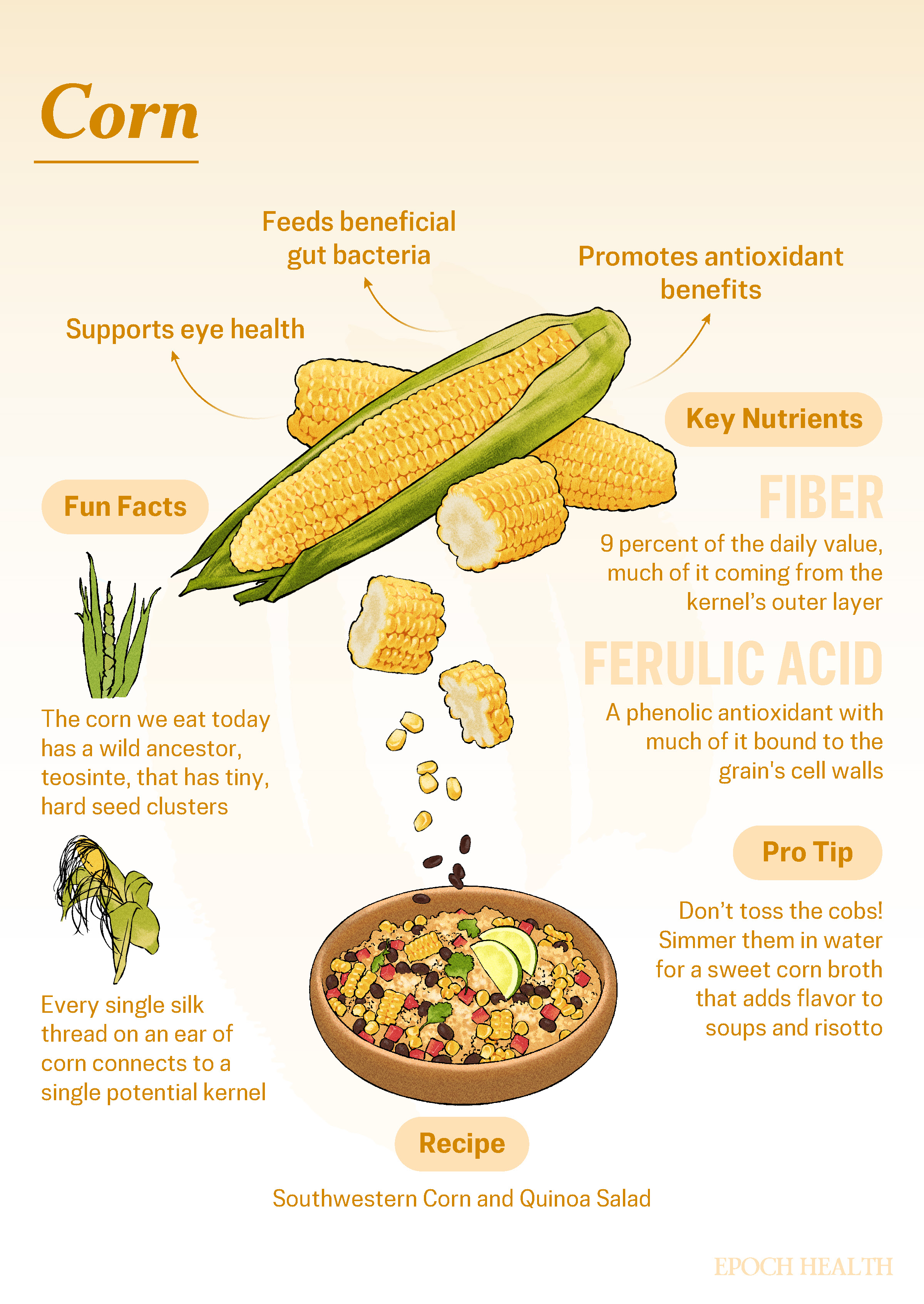 Corn infographic_01