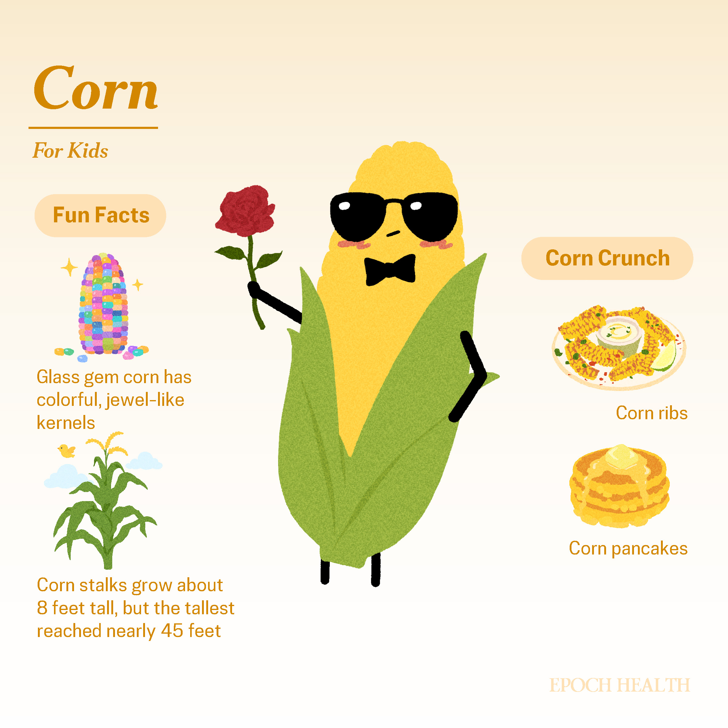 Corn infographic_02