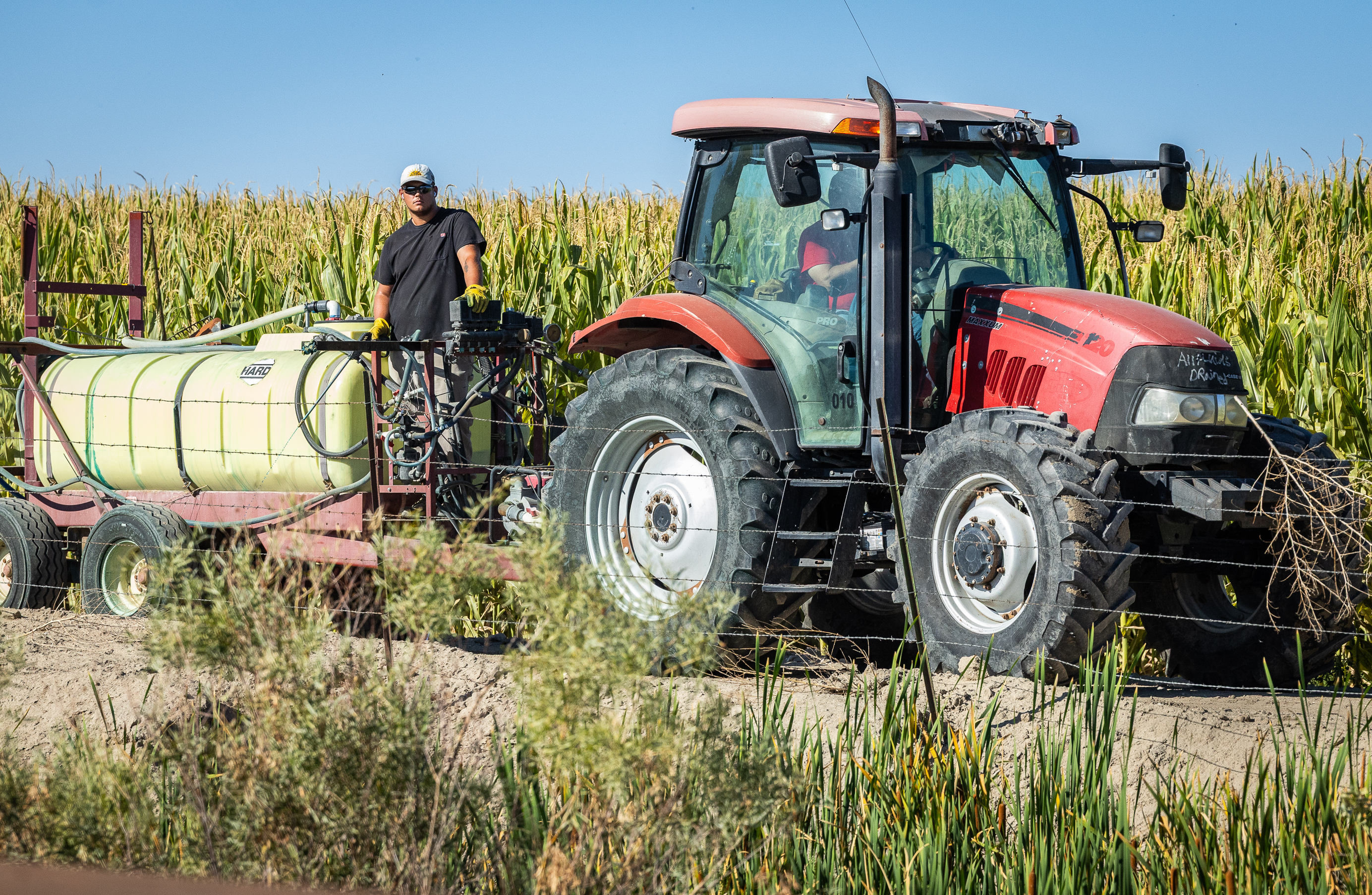 Farmers