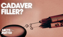 Fat From Cadavers Now Being Used for Cosmetic Fillers