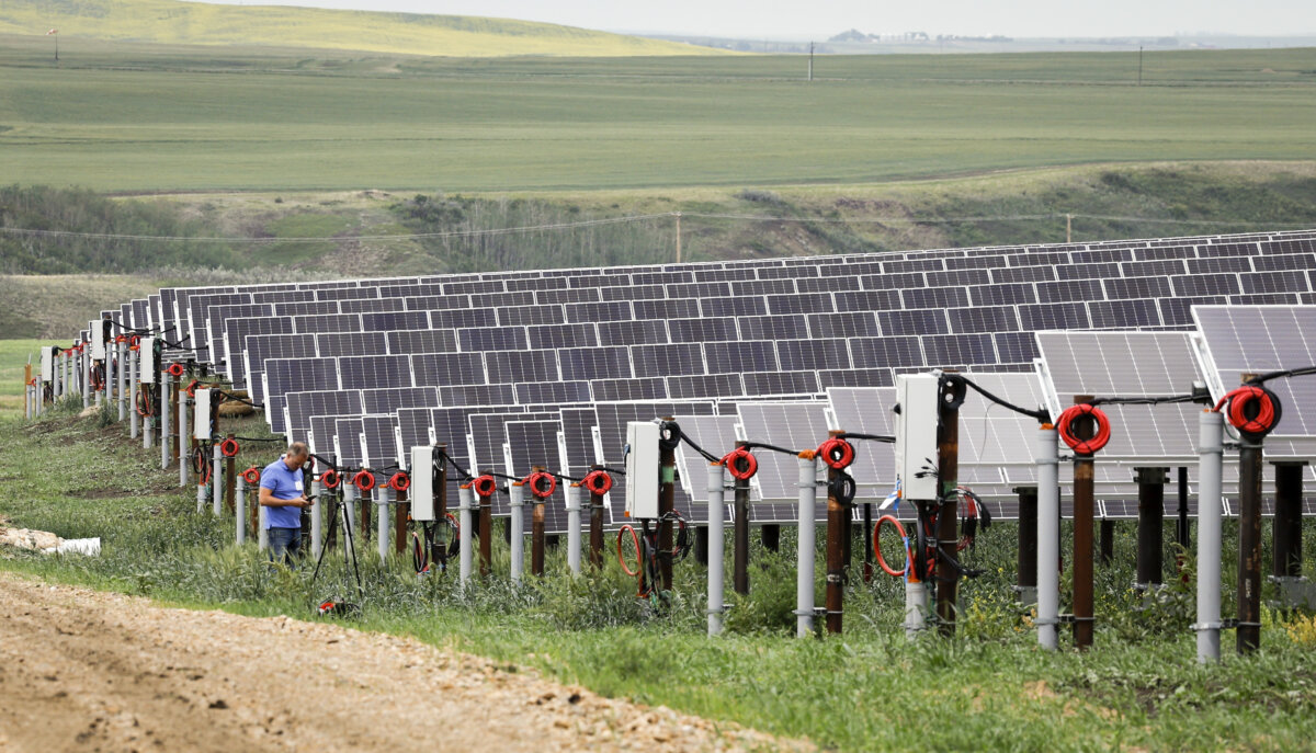 Solar panels at a site near Drumheller, Alta., in a file photo. (The Canadian Press/Jeff McIntosh)