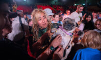 SuperDogs Lap up the Love, 50 Years After Being Unleashed on Adoring Fans