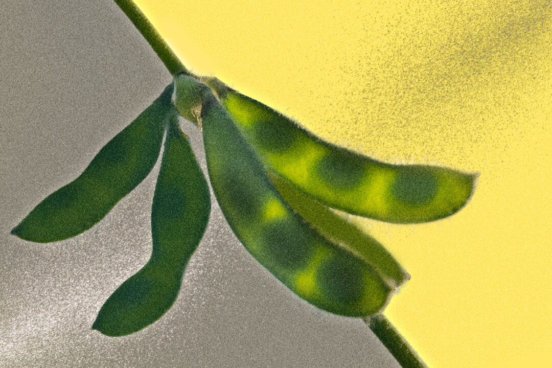 (Illustration by The Epoch Times, Getty Images)